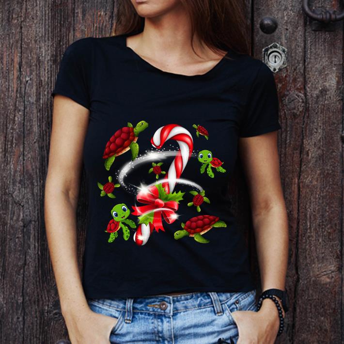 Top Merry Christmas Turtle shirt