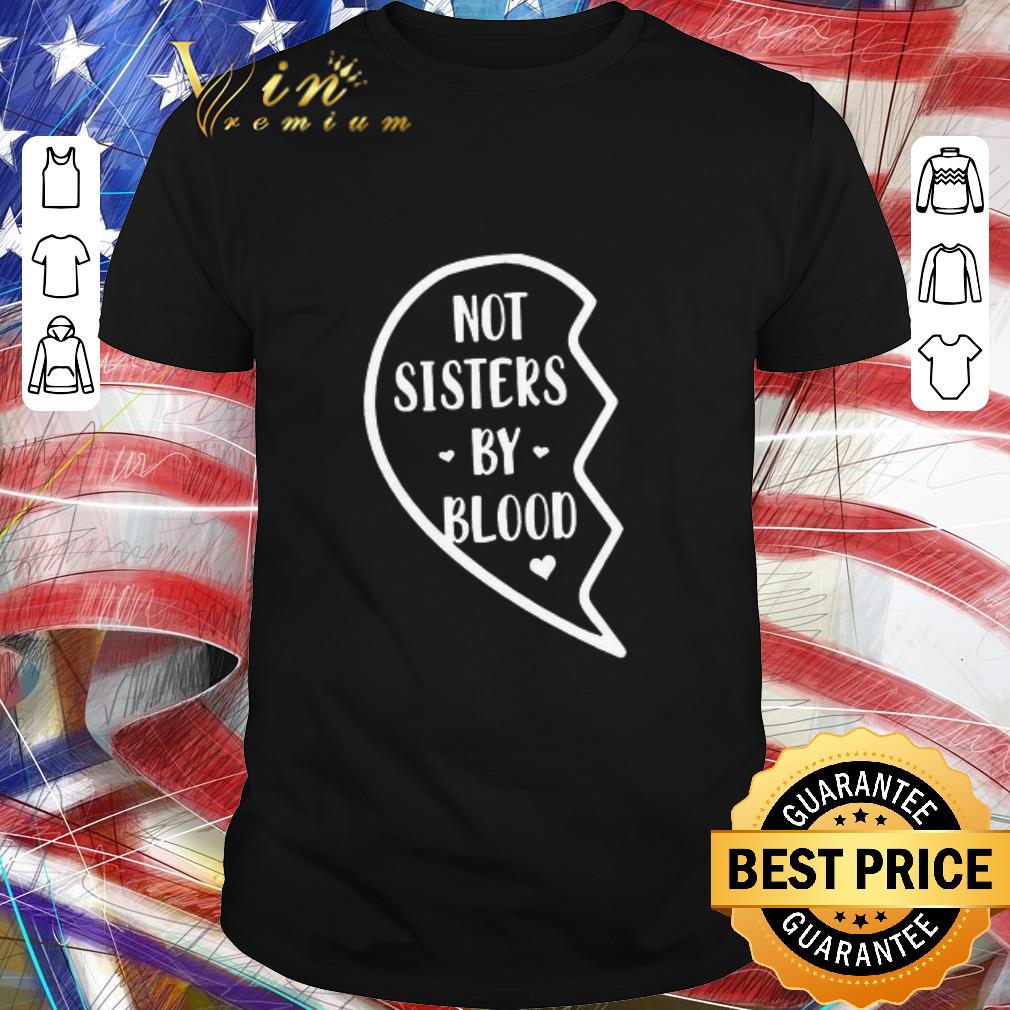 Pretty Not Sisters By Blood shirt