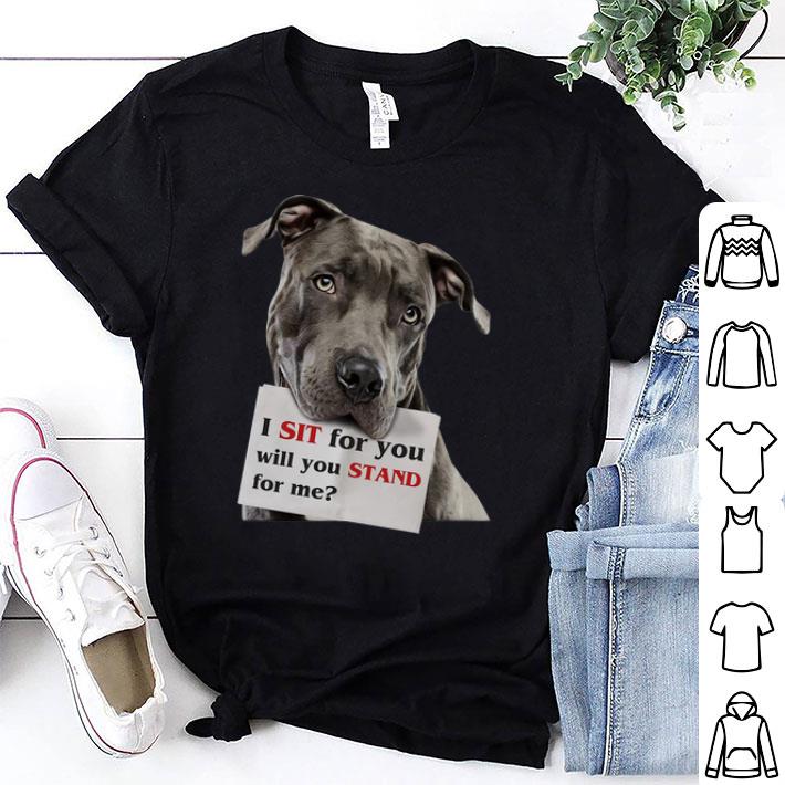 I Sit For You Will You Stand For Me 