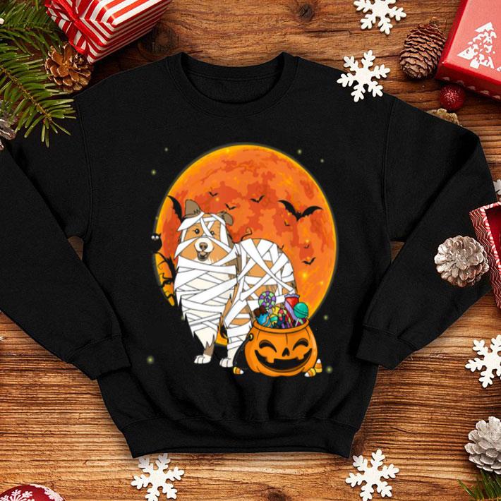 Awesome Sheltie Dog With Candy Pumpkin Halloween Gifts shirt 4 - Awesome Sheltie Dog With Candy Pumpkin Halloween Gifts shirt