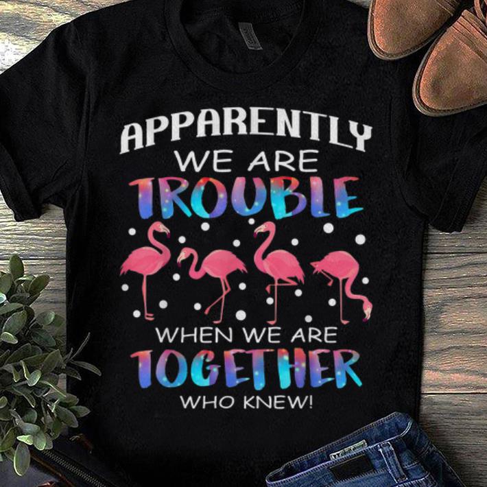 Top Apparently We re Trouble When We re Together Who Knew Flamingo shirt 1 - Top Apparently We're Trouble When We're Together Who Knew Flamingo shirt