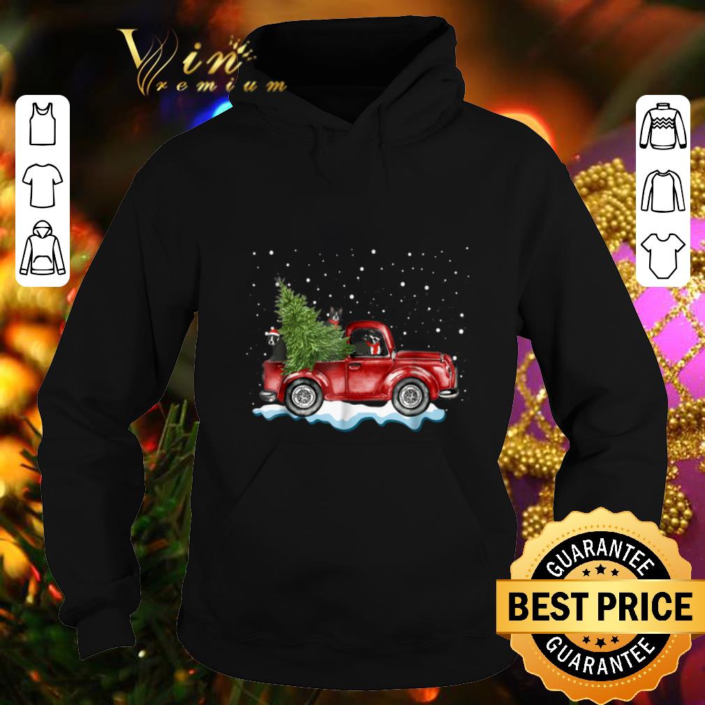 Pretty Boston Terrier Truck Christmas shirt 4 - Pretty Boston Terrier Truck Christmas shirt