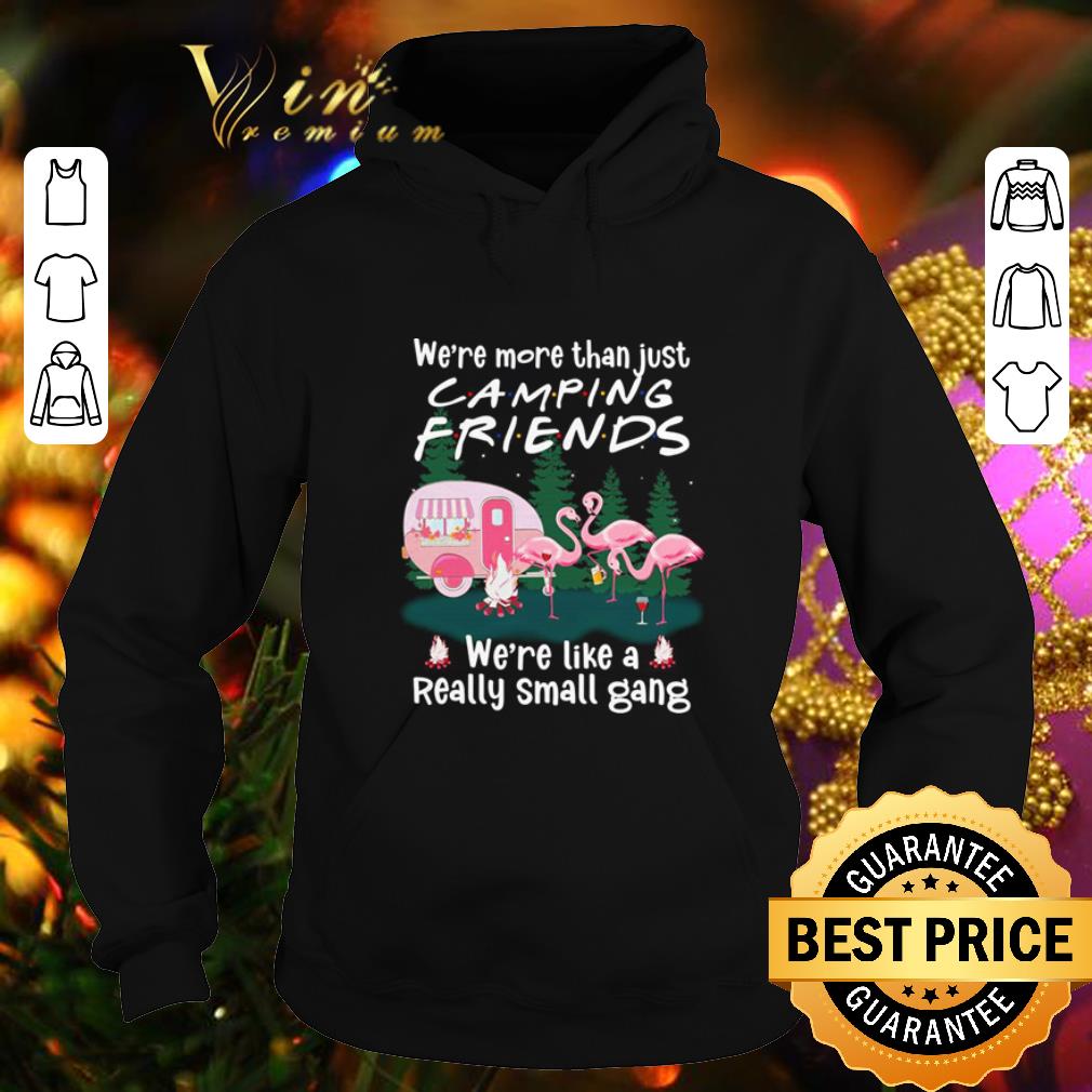 Pretty Flamingos we re more than just camping friends we re like a really small gang shirt 4 - Pretty Flamingos we're more than just camping friends we're like a really small gang shirt