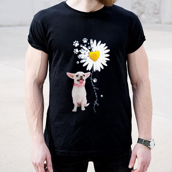 Chihuahua Daisy My Sunshineshirt 4 - Chihuahua Daisy My Sunshineshirt