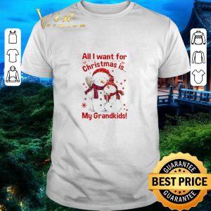 Hot Snowman All I Want For Christmas Is My Grandkids shirt
