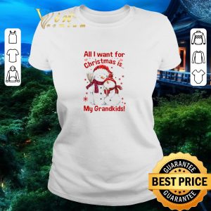 Hot Snowman All I Want For Christmas Is My Grandkids shirt