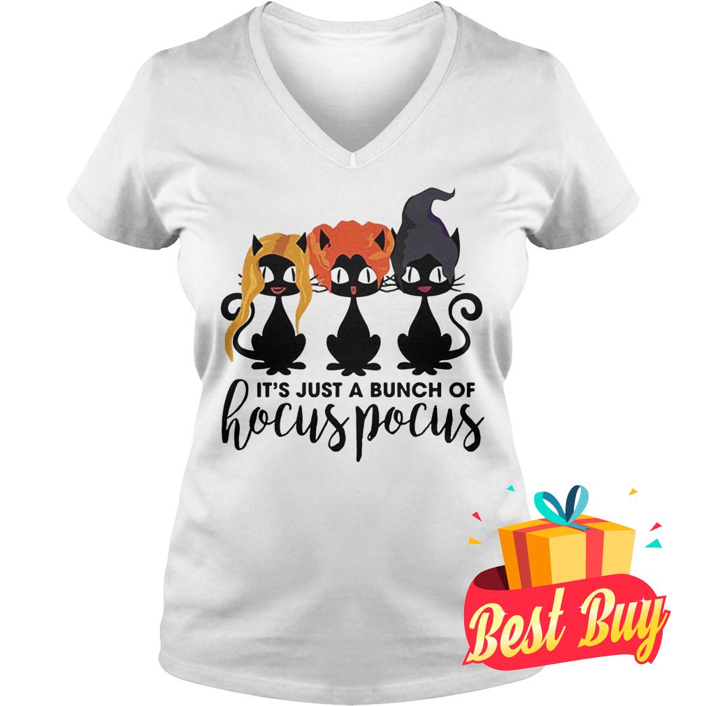 Premium Cat It's Just A Bunch Of Hocus Pocus Shirt 4 Premium Cat It's Just A Bunch Of Hocus Pocus Shirt Ladies V-Neck