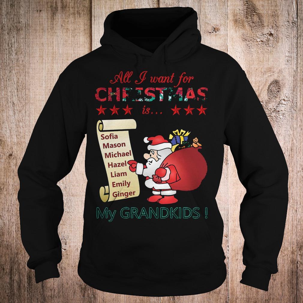 Best Price All i want for Christmas is Sofia Mason Michael Hazel Liam Emily Ginger my grandkids shirt 2 Best Price All i want for Christmas is Sofia Mason Michael Hazel Liam Emily Ginger my grandkids shirt Hoodie