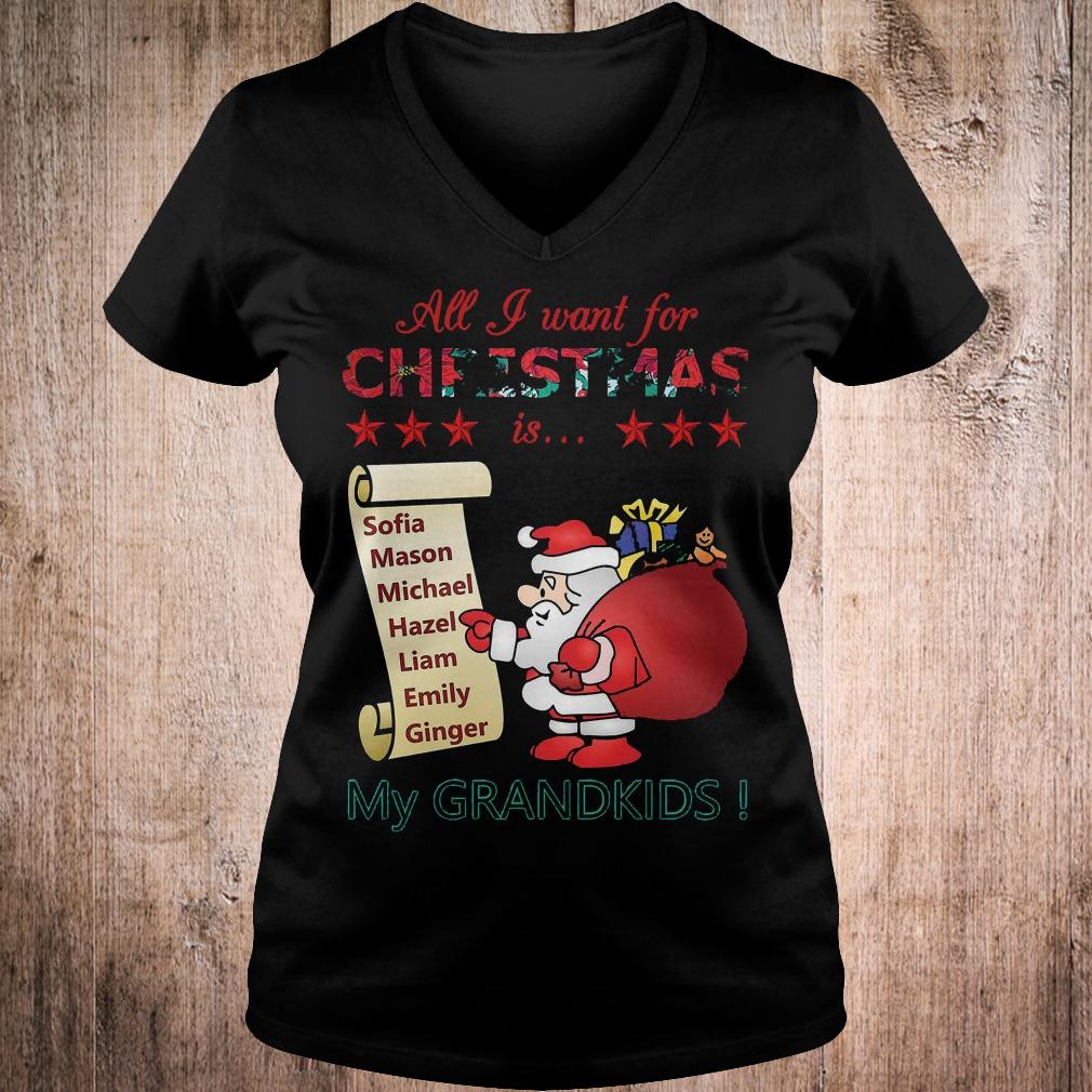 Best Price All i want for Christmas is Sofia Mason Michael Hazel Liam Emily Ginger my grandkids shirt 4 Best Price All i want for Christmas is Sofia Mason Michael Hazel Liam Emily Ginger my grandkids shirt Ladies V-Neck
