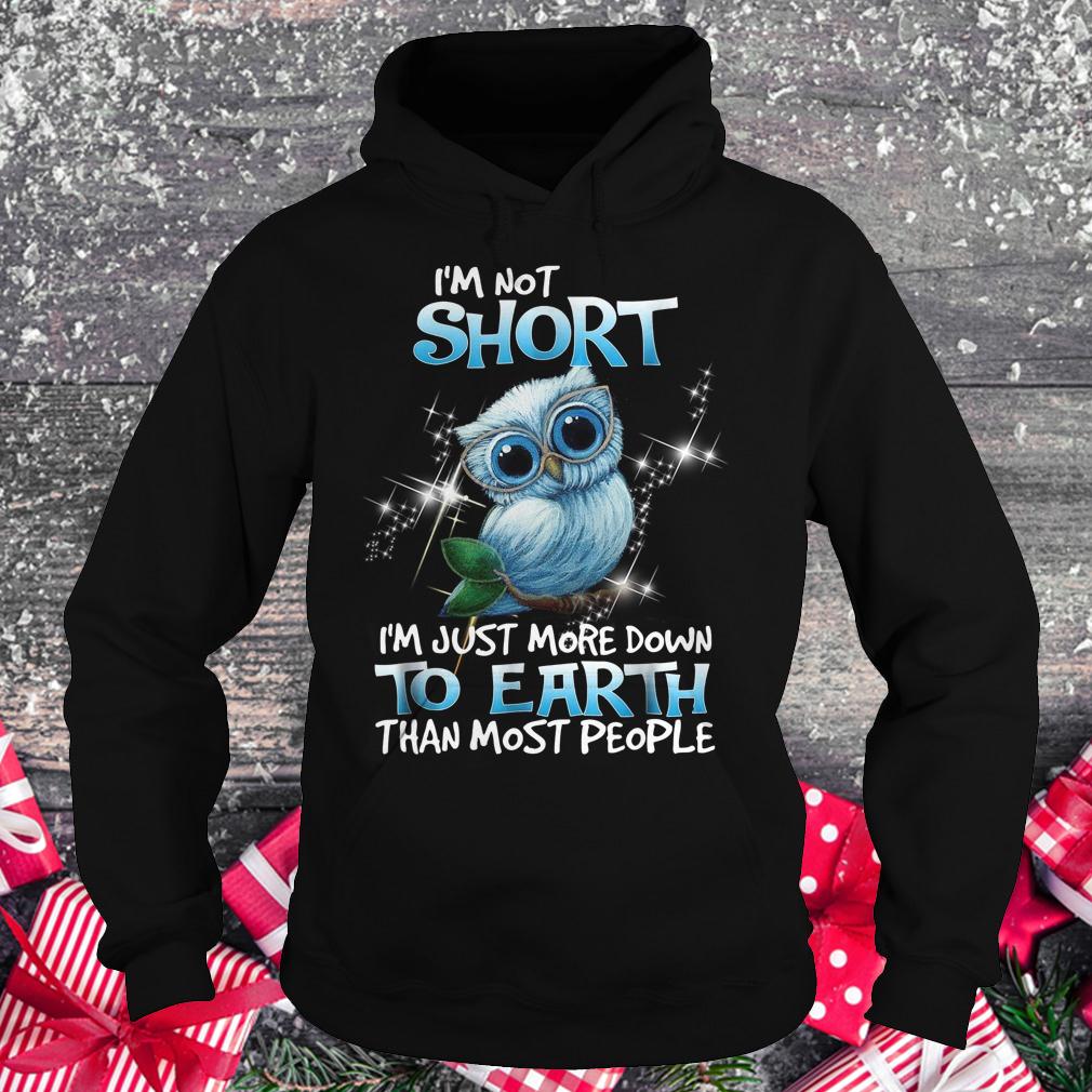 Premium Own I'm not short I'm just more down to earth than most people shirt Hoodie