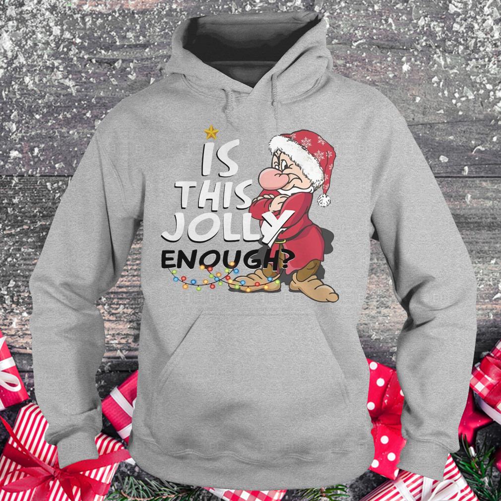 Premium Is this jolly enough shirt Hoodie