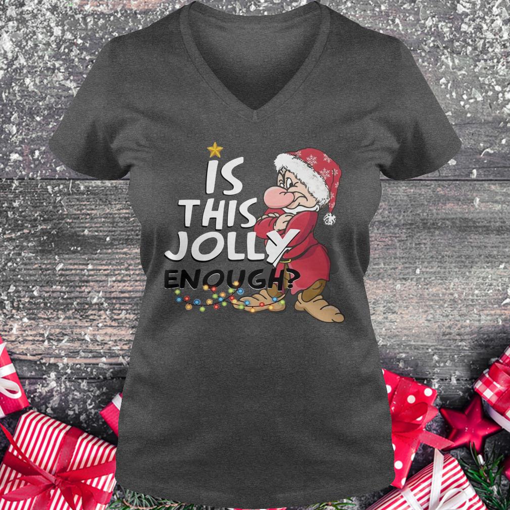 Premium Is this jolly enough shirt Ladies V-Neck