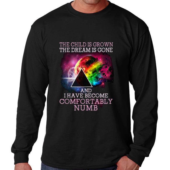 Nice Pink Floyd the child is grown the dream is gone and i have become comfortably numb shirt 6 Nice Pink Floyd the child is grown the dream is gone and i have become comfortably numb shirt