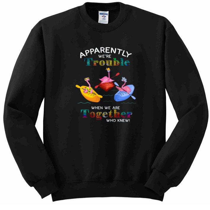 Pretty Apparently we're trouble when we are together who knew flamingos shirt 6 Pretty Apparently we're trouble when we are together who knew flamingos shirt