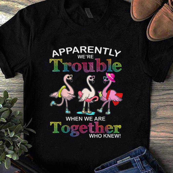 Top Flamingo Apparently We're Trouble When We Are Together shirt
