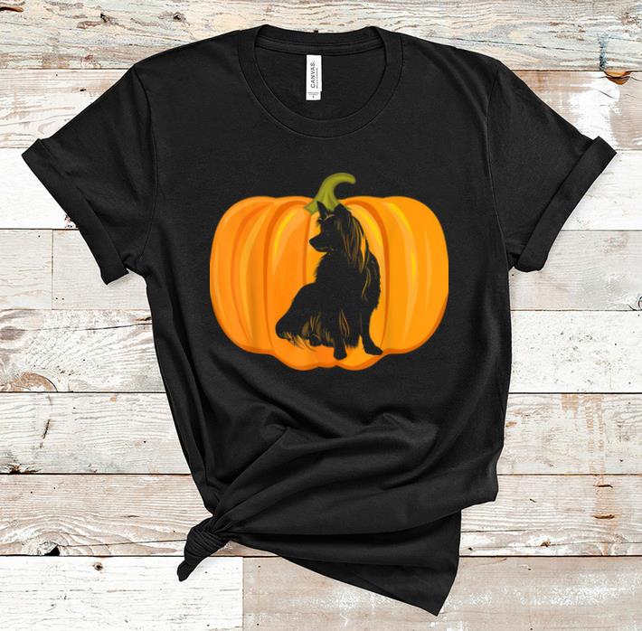 Official Halloween Papillon Pumpkin Women Dog Owners Gifts shirt
