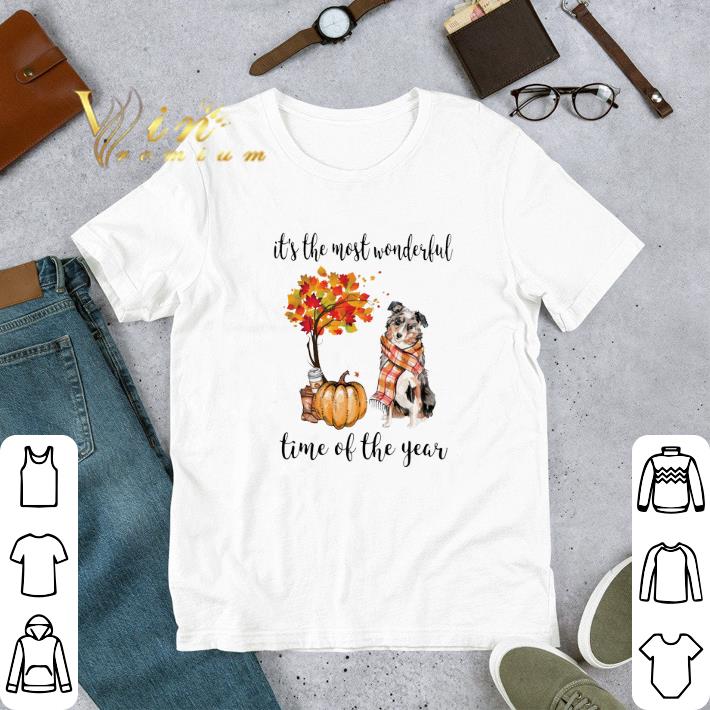 Original Pumpkin & Aussie dog it's the most wonderful time of the year shirt