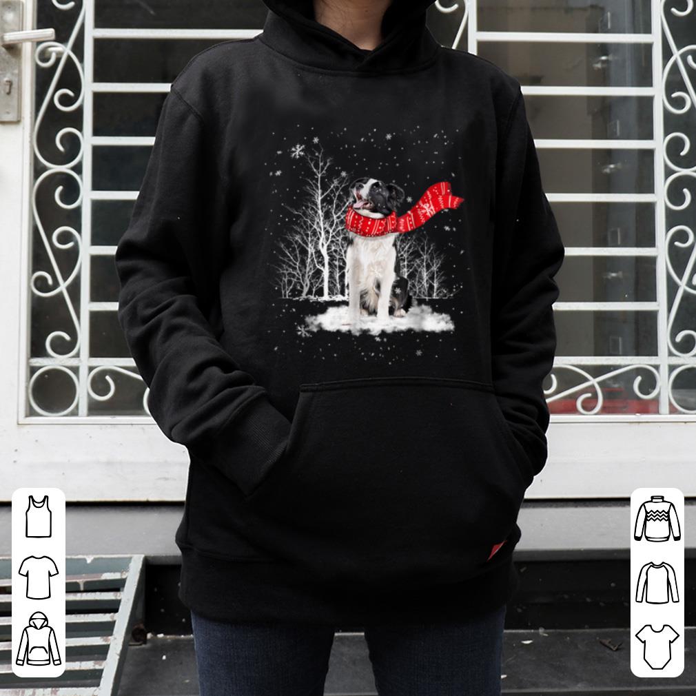 Pretty Border Collie Snow - Nice Dog Christmas sweater