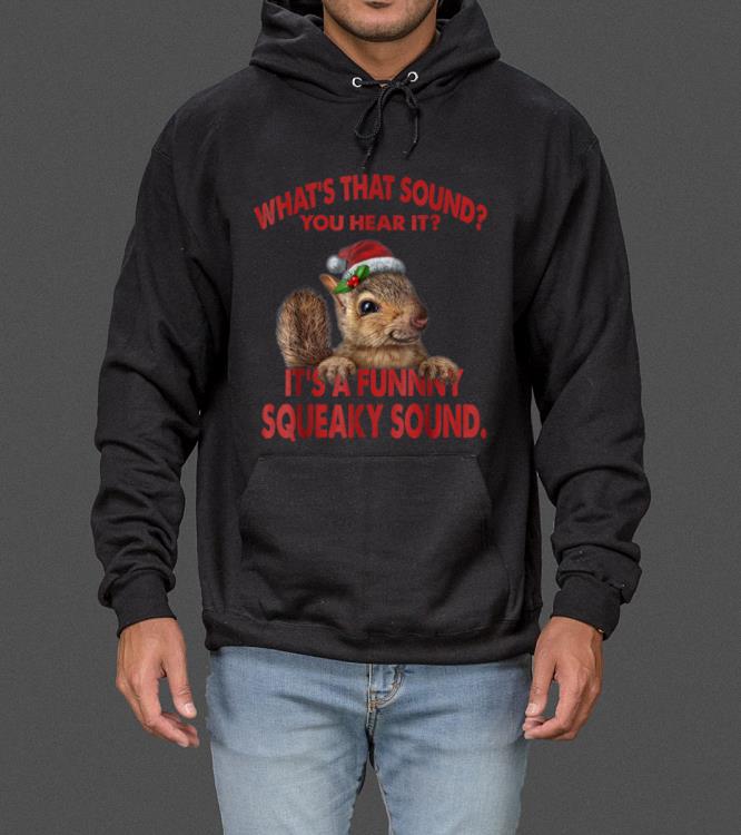 Great It's A Funny Squeaky Sound Christmas Squirrel sweater