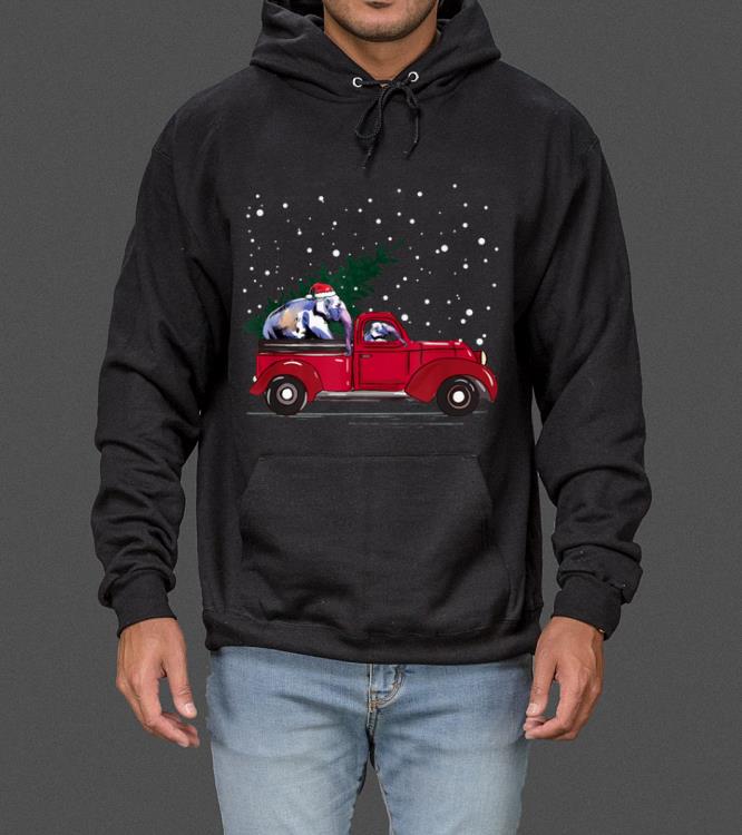 Hot Red Truck pick up Elephant Animal Christmas lover gifts sweater