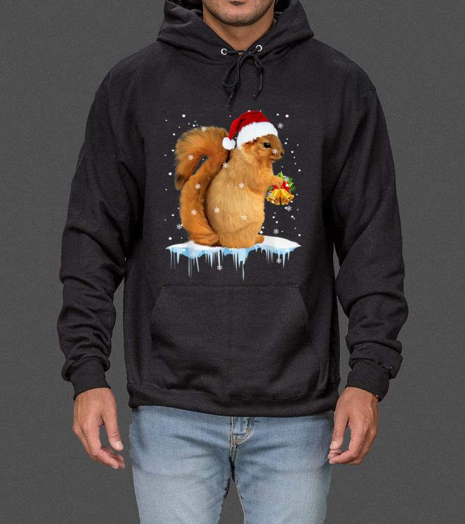 Original Funny Squirrel Christmas Santa Hat Animal Gift Kids sweater