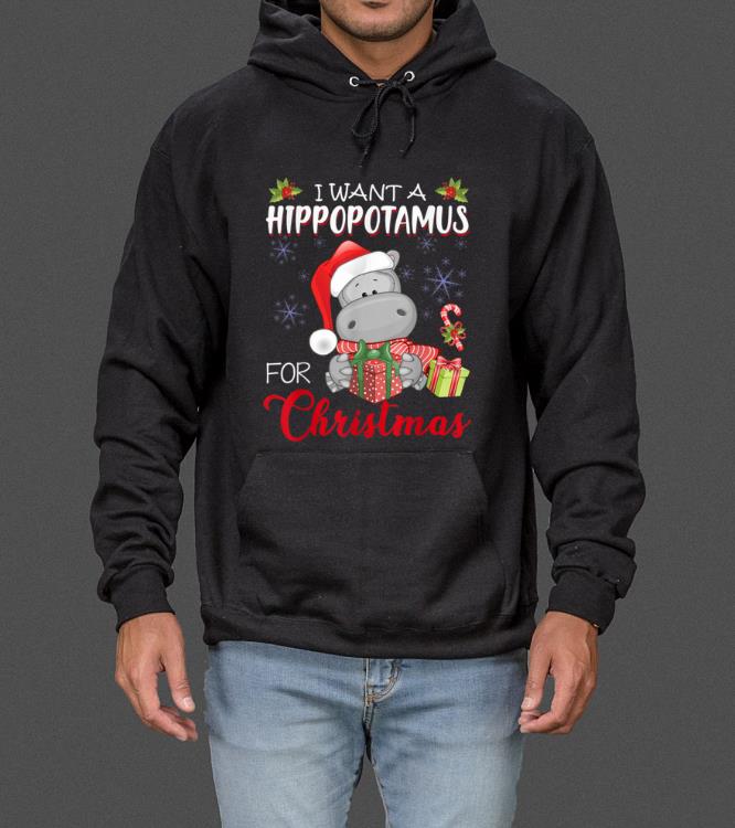 Original I Want A Hippopotamus For Christmas Xmas Hippo for Kid Women sweater