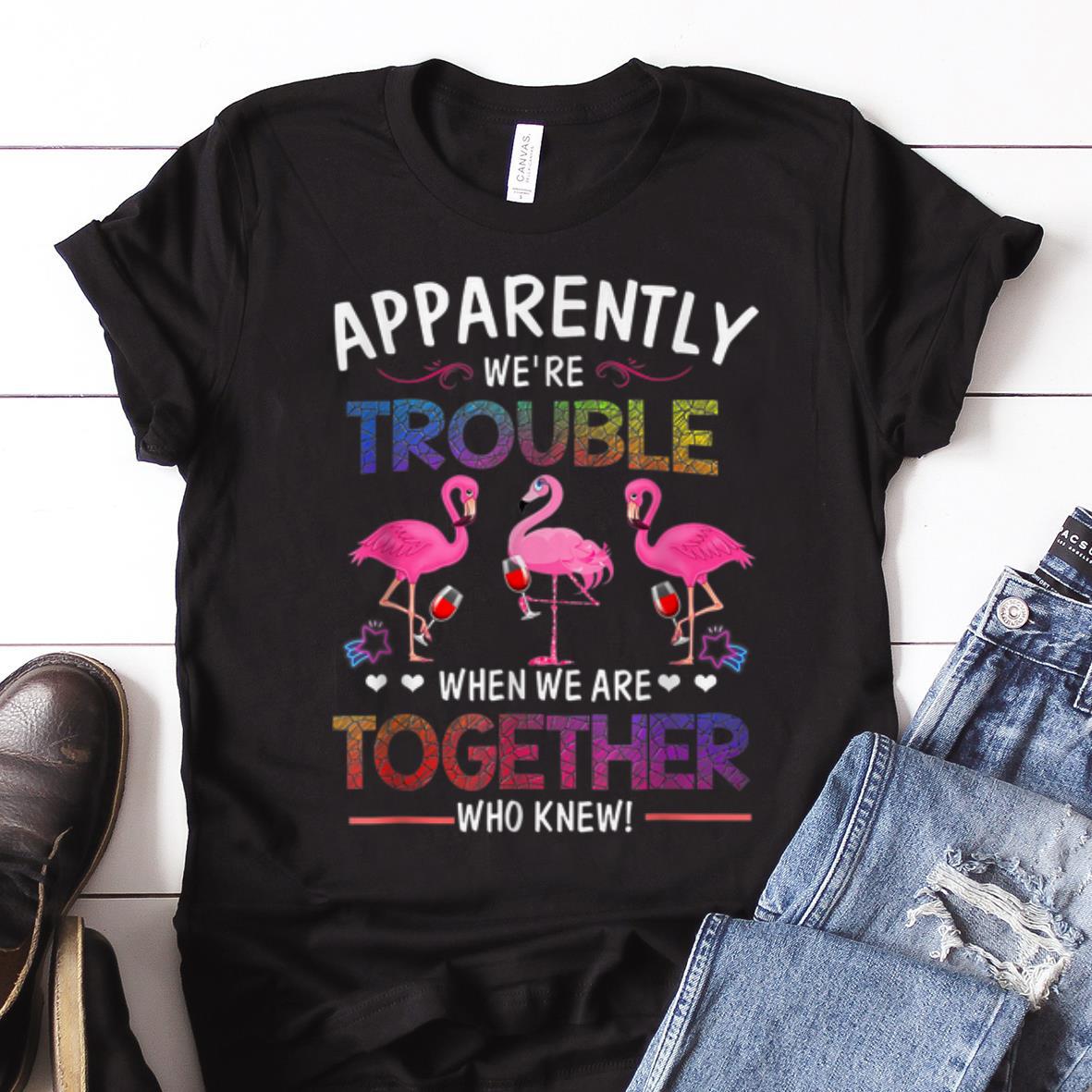 Nice Apparently We're Trouble When We are Together Who Knew Wine Flamingo guy tee