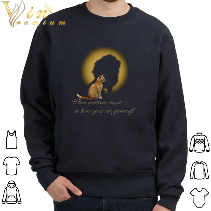 Original Lion Cat What Matters Most Is How You See Yourself tshirt 7 Original Lion Cat What Matters Most Is How You See Yourself tshirt