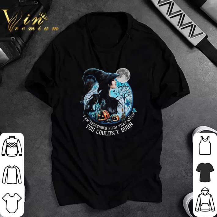 Original Halloween I Am Descended From That Witch You Couldn't Burn tshirt 7