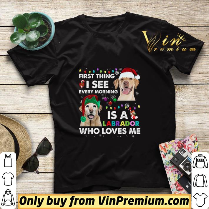 First Thing I See Every Morning Is A Labrador Who Loves Me shirt sweater