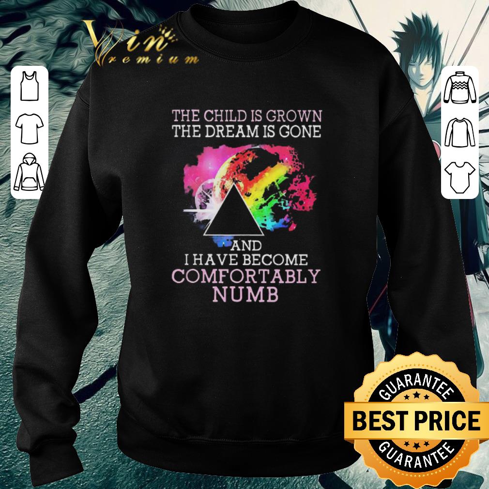 Top Pink Floyd The Child Is Grown The Dream Is Gone And I Have Become Comfortably Numb shirt