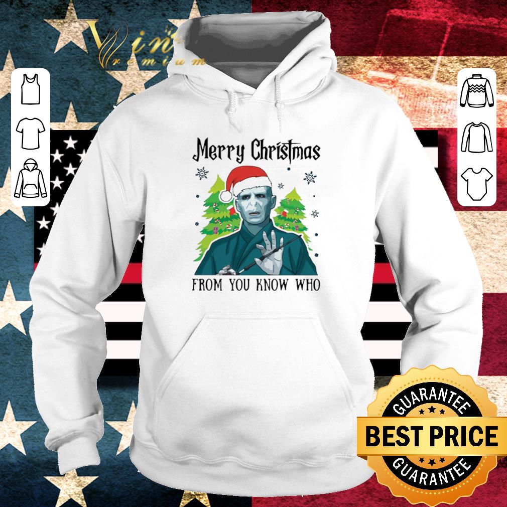Nice Voldemort Merry Christmas From You Know Who shirt
