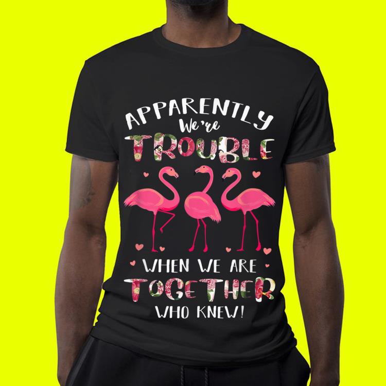 Flamingo Apparently We re Trouble When We Are Together shirt 4 - Flamingo Apparently We're Trouble When We Are Together shirt
