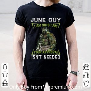 Awesome Hulk June Guy I Am Who I Am Your Approval Isn't Needed shirt 1
