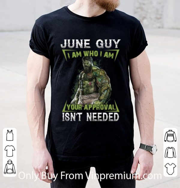 Awesome Hulk June Guy I Am Who I Am Your Approval Isn't Needed shirt