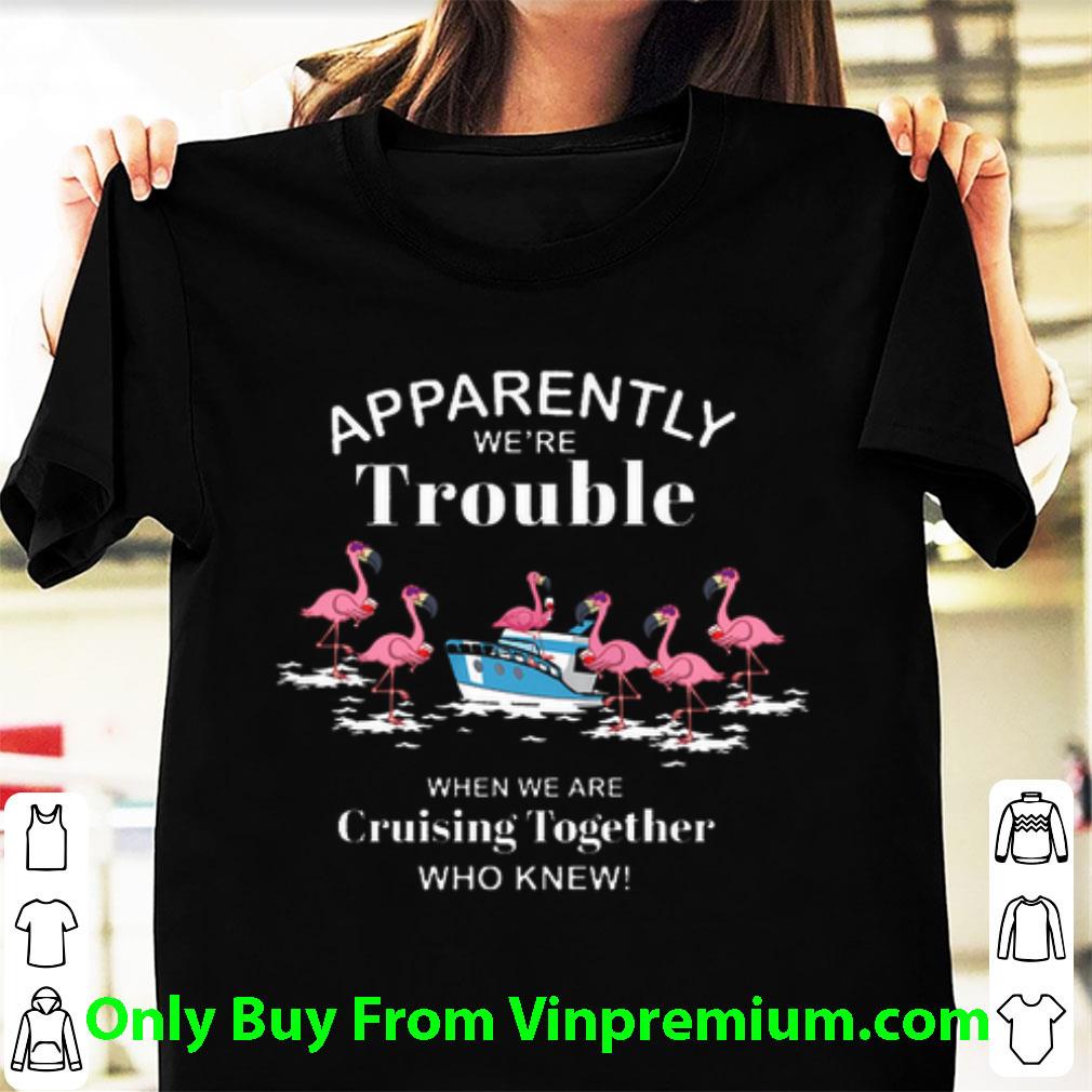 Awesome Flamingos Apparently We're Trouble When We Are Cruising Together shirt