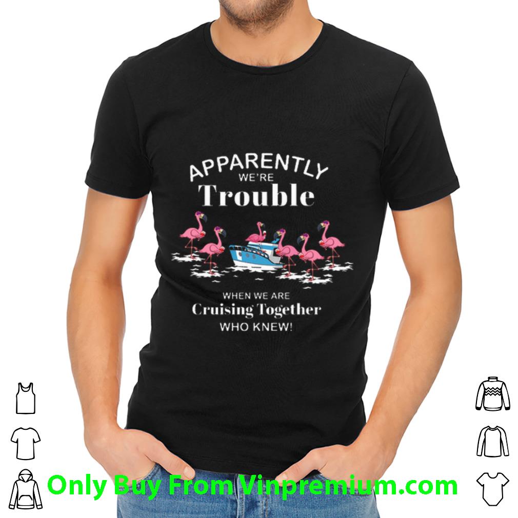 Awesome Flamingos Apparently We're Trouble When We Are Cruising Together shirt
