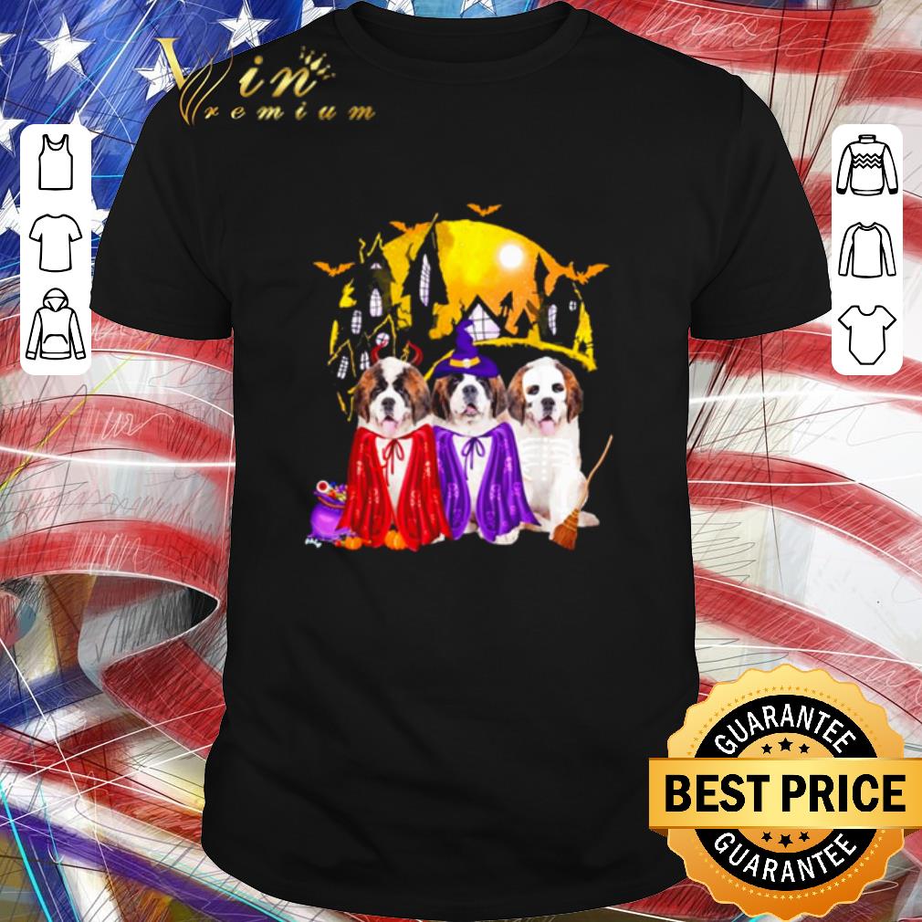 Top Saint Bernard Dog Halloween Witch Dog Lover shirt