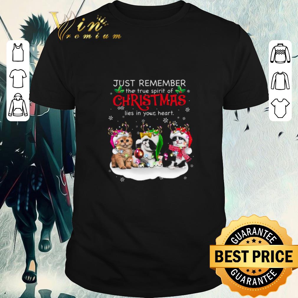 Pretty Cat Reindeer Just Remember The True Spirit Of Christmas Lies In Your Heart
