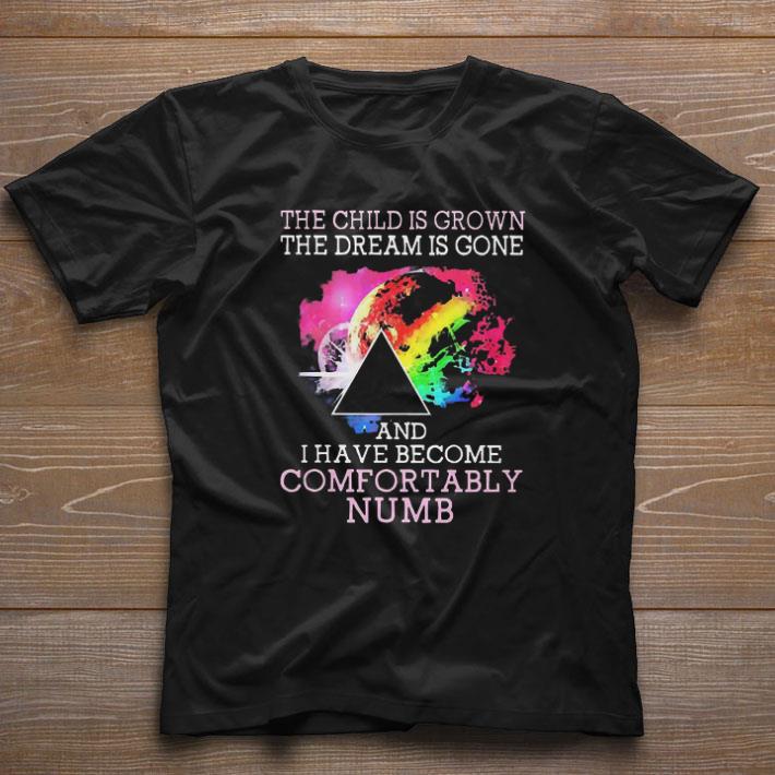 Funny Pink Floyd The Child Is Grown The Dream Is Gone And I Have Become Comfortably Numb shirt