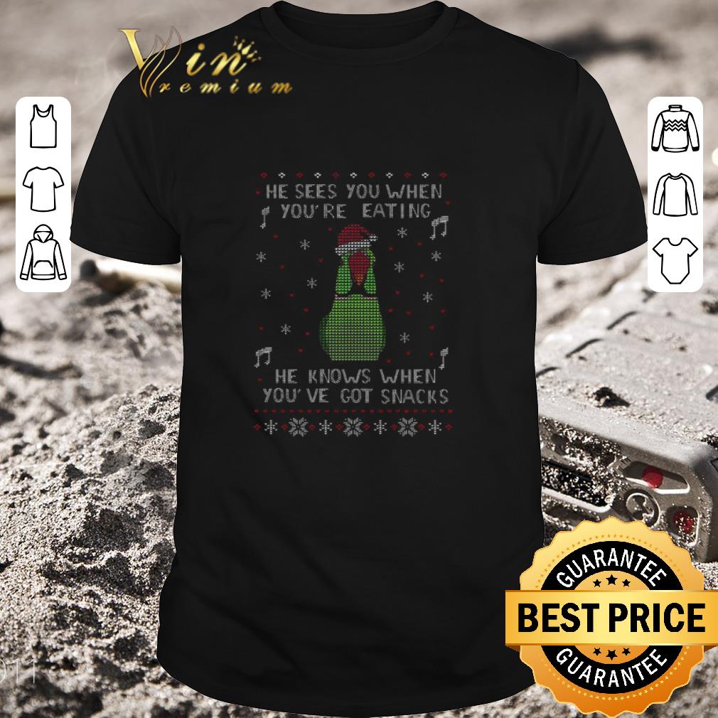 Original Parrot He Sees You When You’re Eating He Knows When You’ve Got Snacks Ugly Christmas Sweater shirt