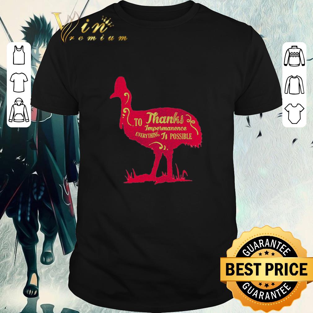 Funny To Thanks Impermanence Everything Is Possible shirt