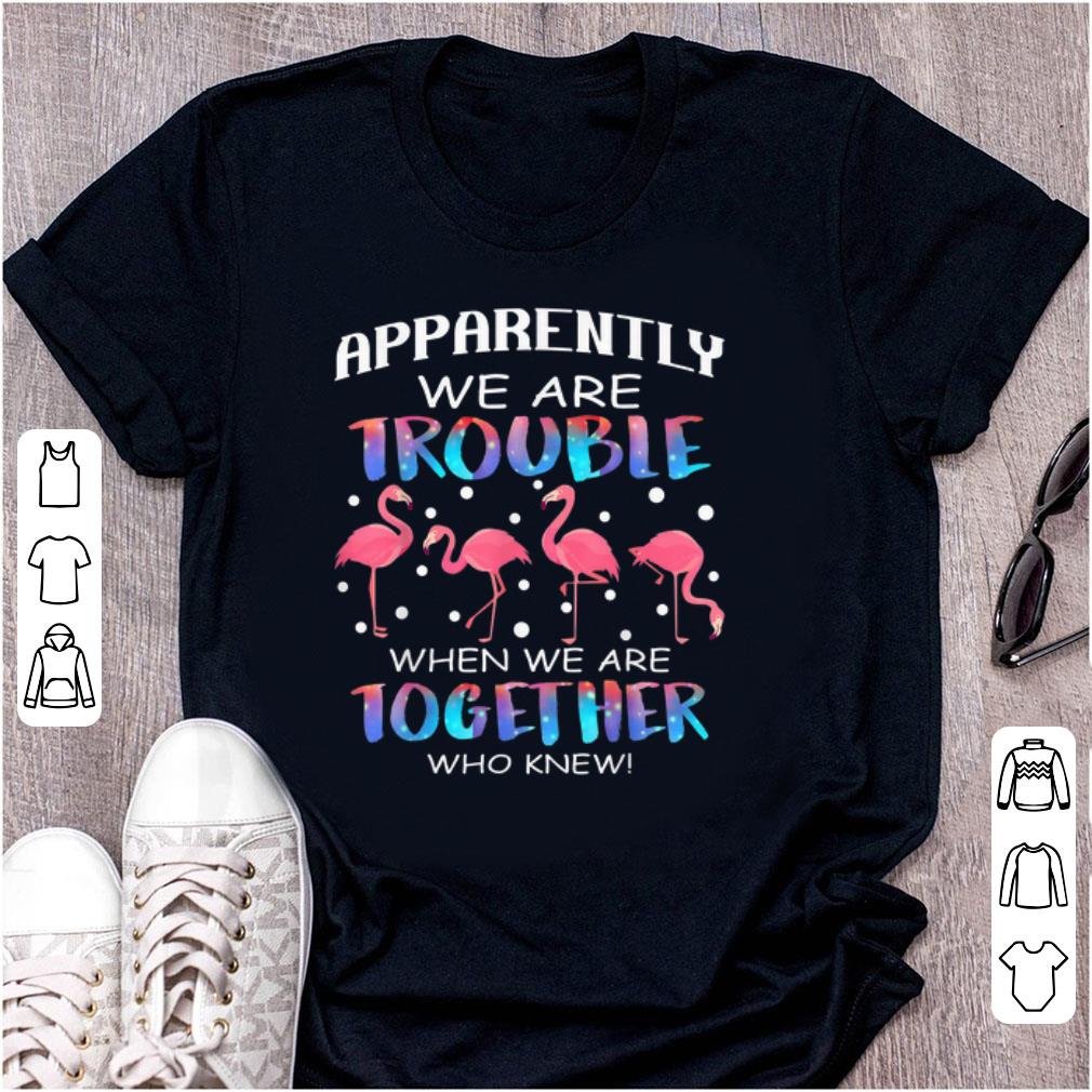 Official Apparently We re Trouble When We re Together Who Knew Flamingo shirt 1 - Official Apparently We're Trouble When We're Together Who Knew Flamingo shirt