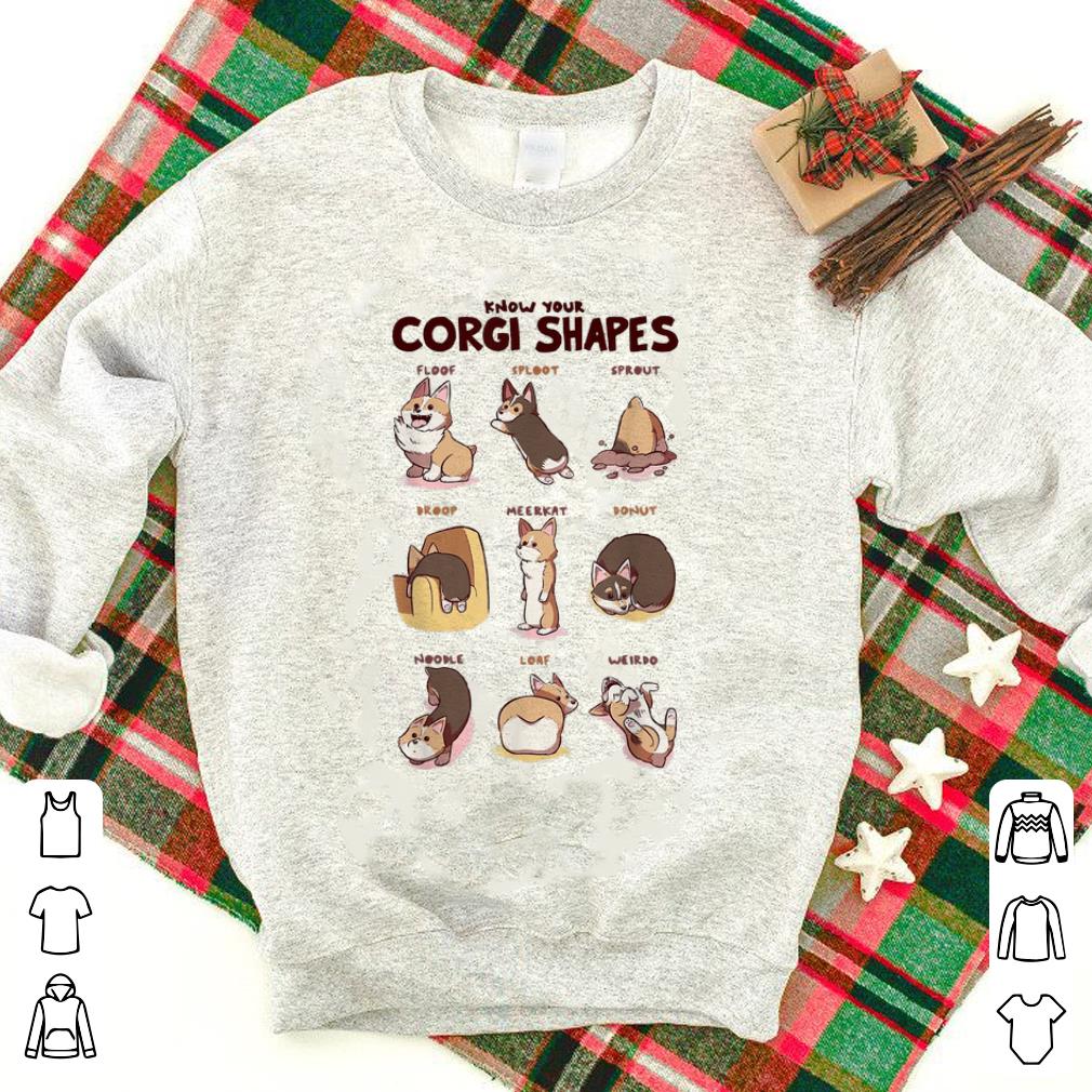 Premium Know Your Corgi Shapes shirt 1 - Premium Know Your Corgi Shapes shirt