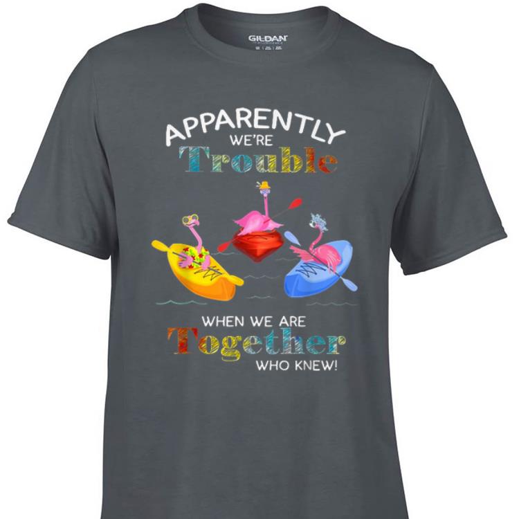 Awesome Apparently We re Trouble When We Are Together Who Knew Paddle Canoe Boat Flamingos shirt 1 - Awesome Apparently We're Trouble When We Are Together Who Knew Paddle Canoe Boat Flamingos shirt