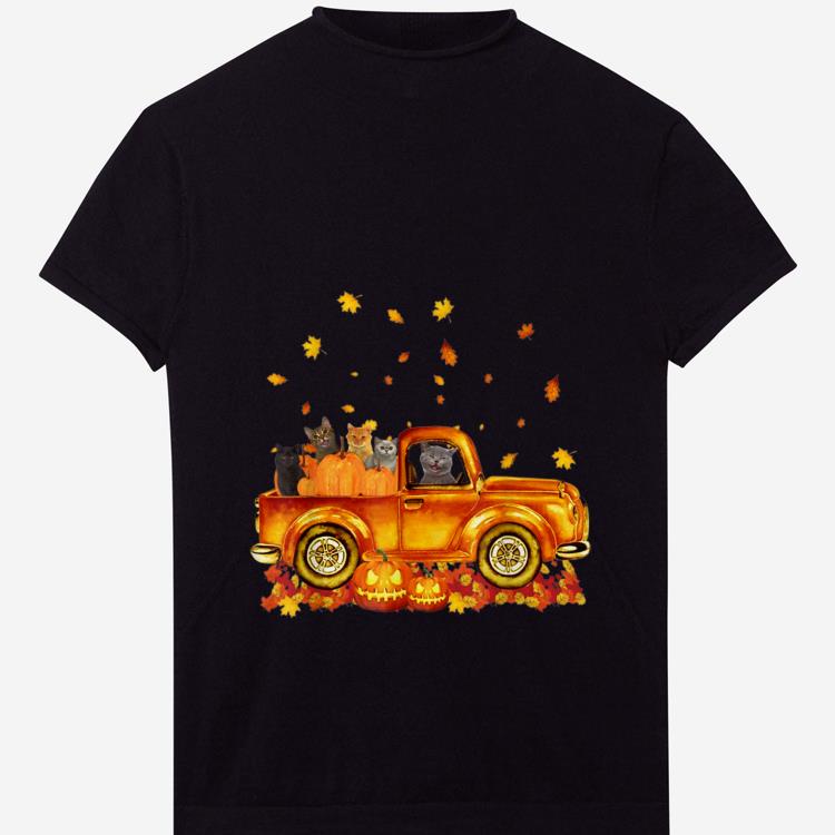 Premium Autumn Cat Kitten Pumpkin Falling Leaf Car shirt 1 - Premium Autumn Cat Kitten Pumpkin Falling Leaf Car shirt