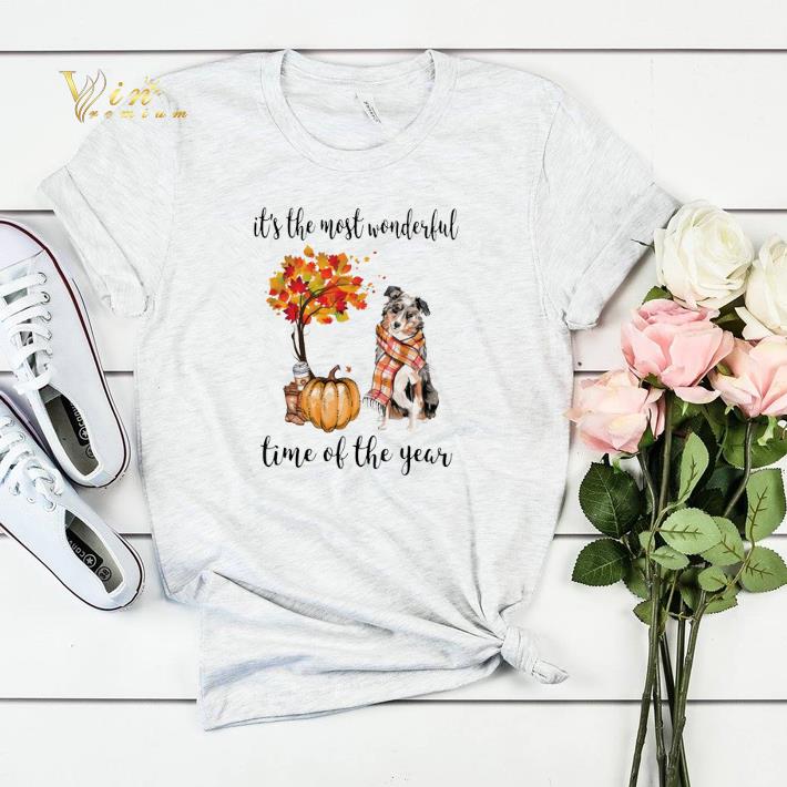Pumpkin Aussie dog it s the most wonderful time of the year shirt sweater 4 - Pumpkin & Aussie dog it's the most wonderful time of the year shirt sweater