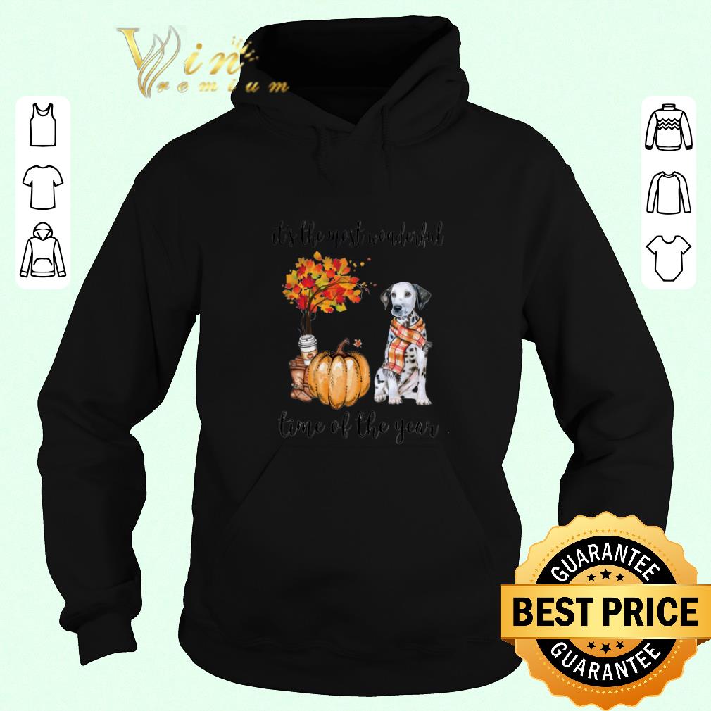 Official Dalmatian Pumpkin it s the most wonderful time of the year shirt sweater 4 - Official Dalmatian & Pumpkin it's the most wonderful time of the year shirt sweater