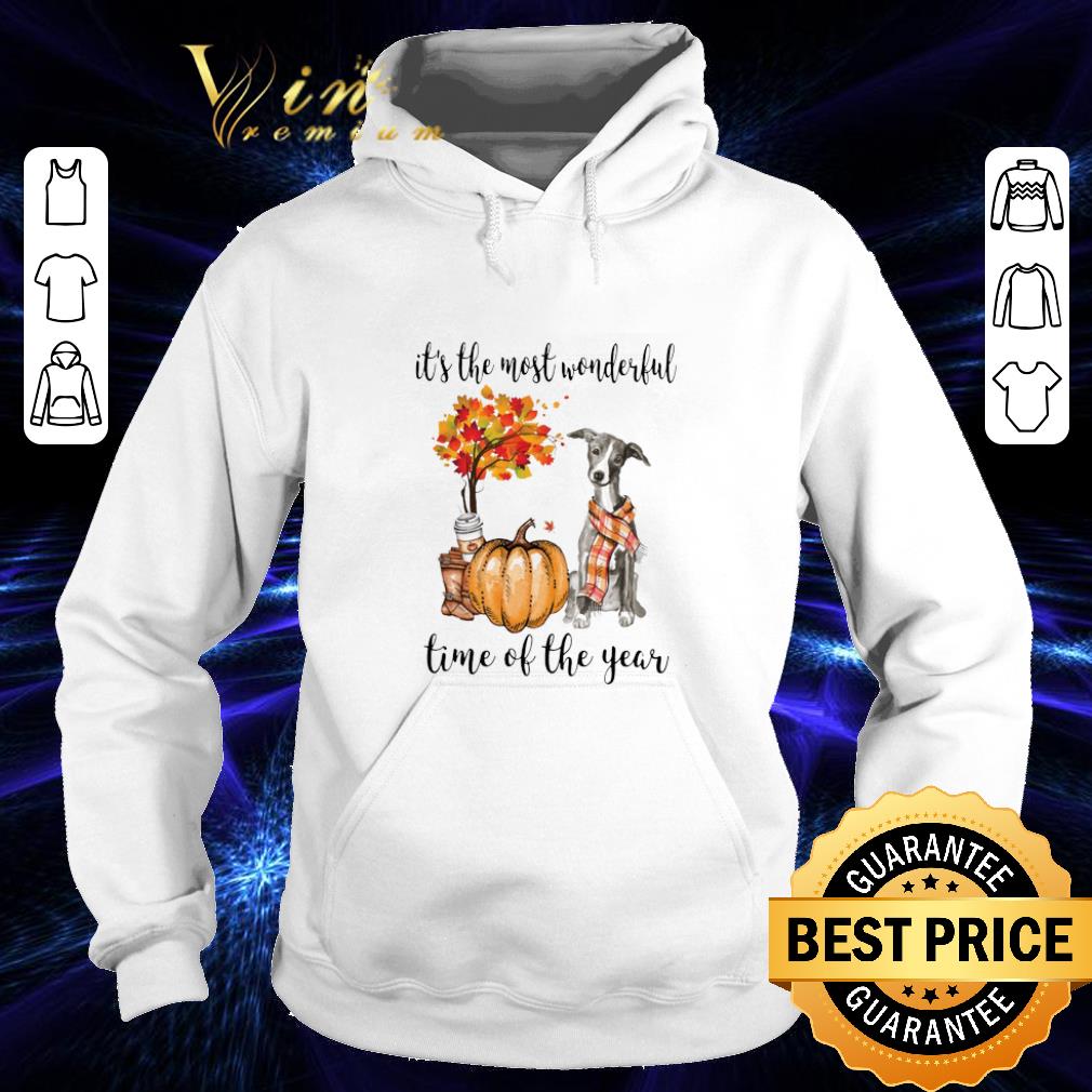 Pretty Greyhound pumpkin it s the most wonderful time of the year shirt 4 - Pretty Greyhound pumpkin it's the most wonderful time of the year shirt
