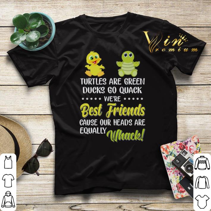Turtles are green ducks go quack we re best friends cause whack shirt sweater 4 - Turtles are green ducks go quack we're best friends cause whack shirt sweater